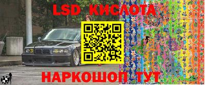 крисы Будённовск