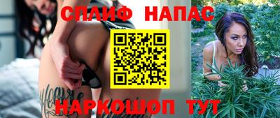 мет Кингисепп