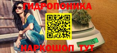 ECSTASY Кинель
