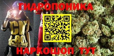 гидра Кимры