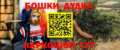 мет Кингисепп