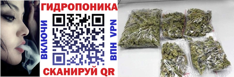 Бошки Шишки Amnesia  Тулун 