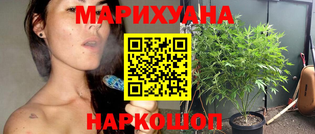 Бошки марихуана OG Kush Тулун